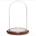 Customize Handblown High Quality Glass Display Dome With Walnut Base